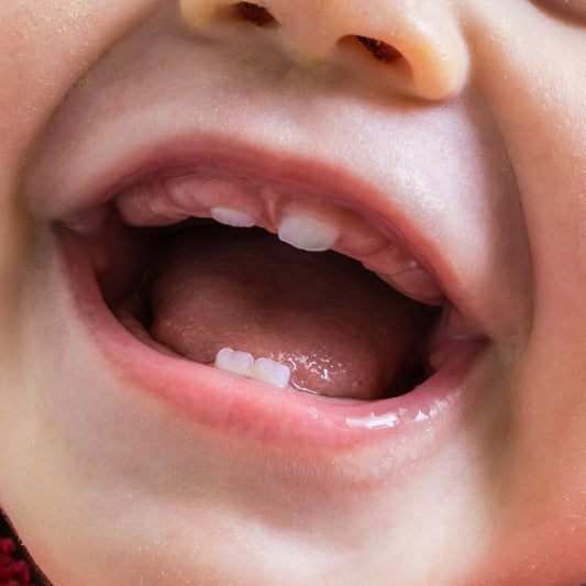 Teeth Tamer